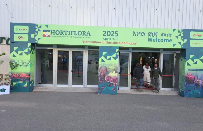 "Kite Manufacturing PLC booth at the International Horticulture and Floriculture Trade Fair 2025, showcasing carton box samples"